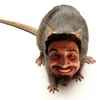 minadomeucondominio____