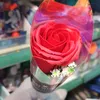 shaisphwk37
