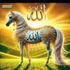 mdrobiu2831