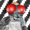 flyvr13