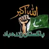 syedqaisershah30