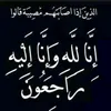 ao_8he