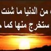 user6313296037507