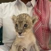 Saudi Arabia🐆