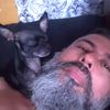 user4212229944183