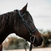 myquarterhorsechloe