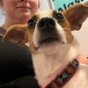 maddythearies
