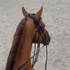 meshoo_262