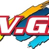 VG Auto Paints