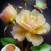 mohaameed050