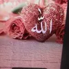 noura197832