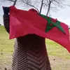 aminaalabbasi332
