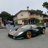 exoticsimage