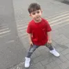 amiriarzo
