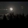 john_abrique20