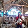 akhmad.suhairi1