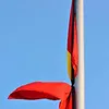dangngocminh542