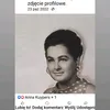 stokrotka1381