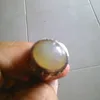 cucuadamcucuadam1