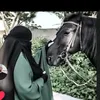 nsem336mhmad