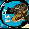 hobi_ikan.1