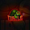 turtle9233
