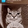 catlover11111