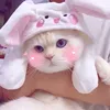nayrllaoliveira82