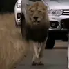 poy.vo