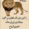 user39022501539992