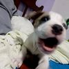 juanestebanmp33