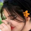 hanin3007190