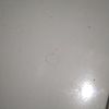 andari._84