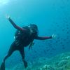 fahmiwakatobi