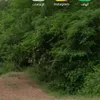 1lw.j