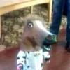 extraspicychicken