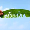 jannat36673