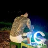 khanhphongdat9999