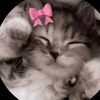 shahoda_447