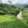 camingsun.warungdeterjen