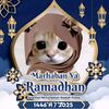 safiraameliaardiy