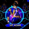 xadam.vip