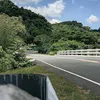 lolobiker3