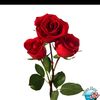 user5802697872253