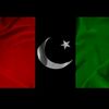 shanzy.khan904