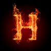 homar_85
