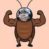 tolavanhuy213