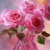 abass.malik7