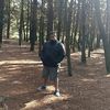 elviscohen3