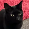 kara.r.p